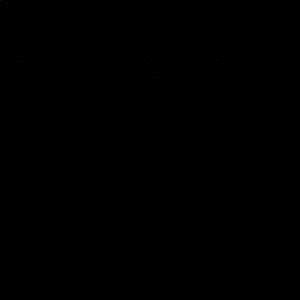 Meet your Posher, Sadie